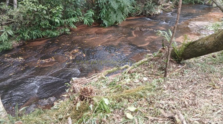 foto_Hermosos terrenos con arroyo en Caacupé