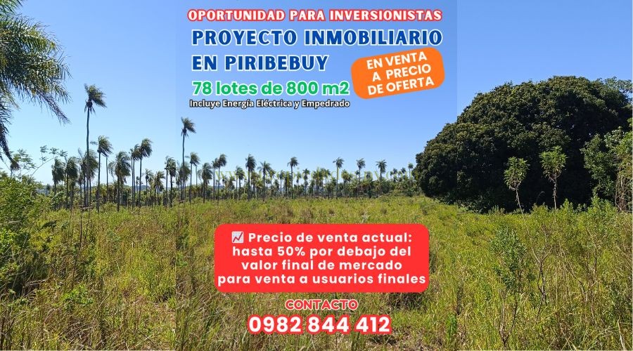 foto_Proyecto Inmobiliario en Piribebuy - Oportunidad para inversionistas