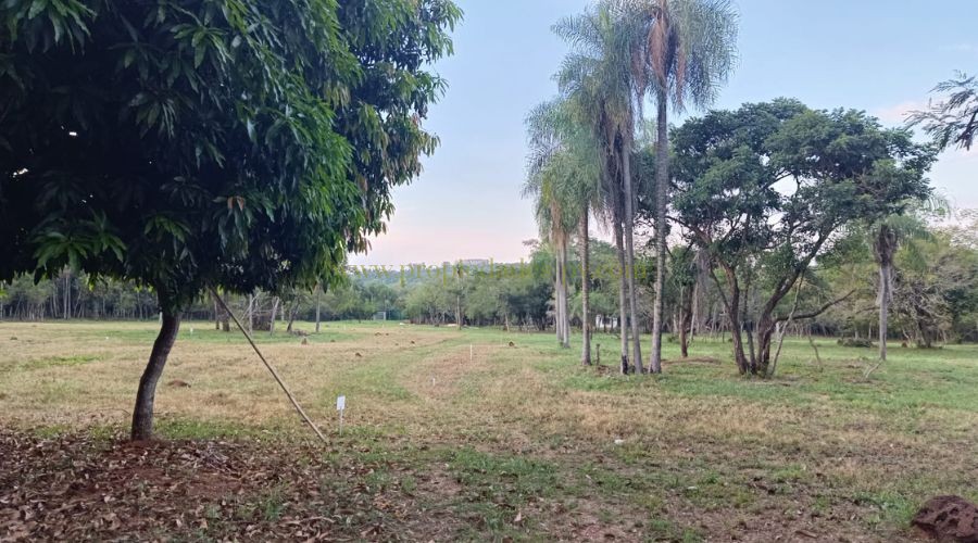 foto_Viví o invertí en un barrio cerrado exclusivo en Altos, rodeado de naturaleza 