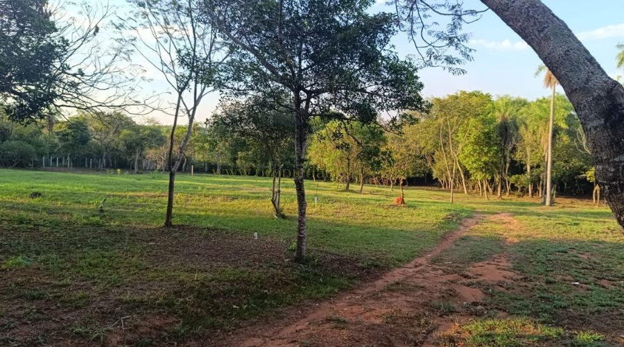 foto_Viví o invertí en un barrio cerrado exclusivo en Altos, rodeado de naturaleza 