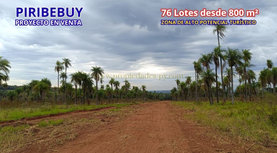 foto_PROYECTO INMOBILIARIO COMPLETO EN VENTA – 76 Lotes en Piribebuy (Ideal para Barrio Cerrado o Desarrollo de Lotes Quintas)