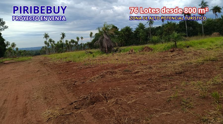 foto_PROYECTO INMOBILIARIO COMPLETO EN VENTA – 76 Lotes en Piribebuy (Ideal para Barrio Cerrado o Desarrollo de Lotes Quintas)