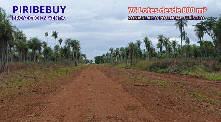 foto_PROYECTO INMOBILIARIO COMPLETO EN VENTA – 76 Lotes en Piribebuy (Ideal para Barrio Cerrado o Desarrollo de Lotes Quintas)