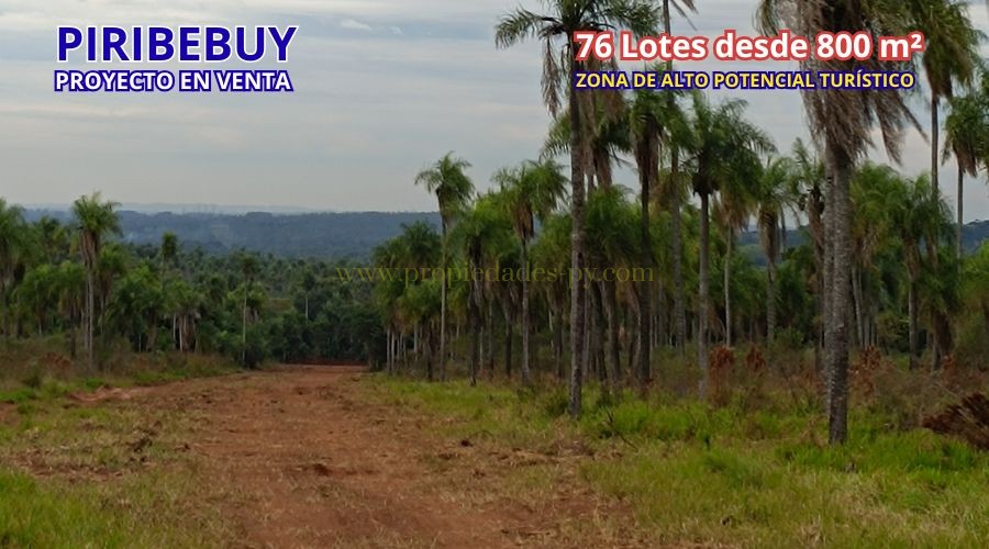 foto_PROYECTO INMOBILIARIO COMPLETO EN VENTA – 76 Lotes en Piribebuy (Ideal para Barrio Cerrado o Desarrollo de Lotes Quintas)