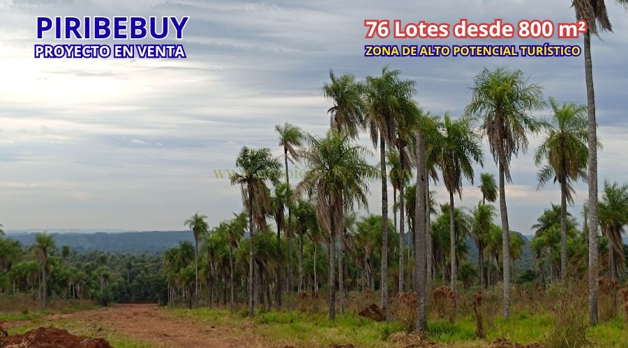foto_PROYECTO INMOBILIARIO COMPLETO EN VENTA – 76 Lotes en Piribebuy (Ideal para Barrio Cerrado o Desarrollo de Lotes Quintas)