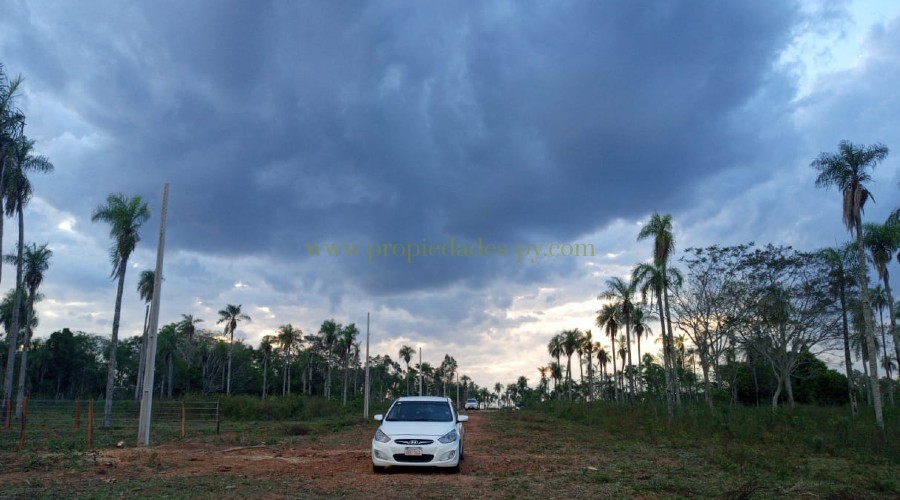 foto_Hermosos Lotes en Nueva Colombia