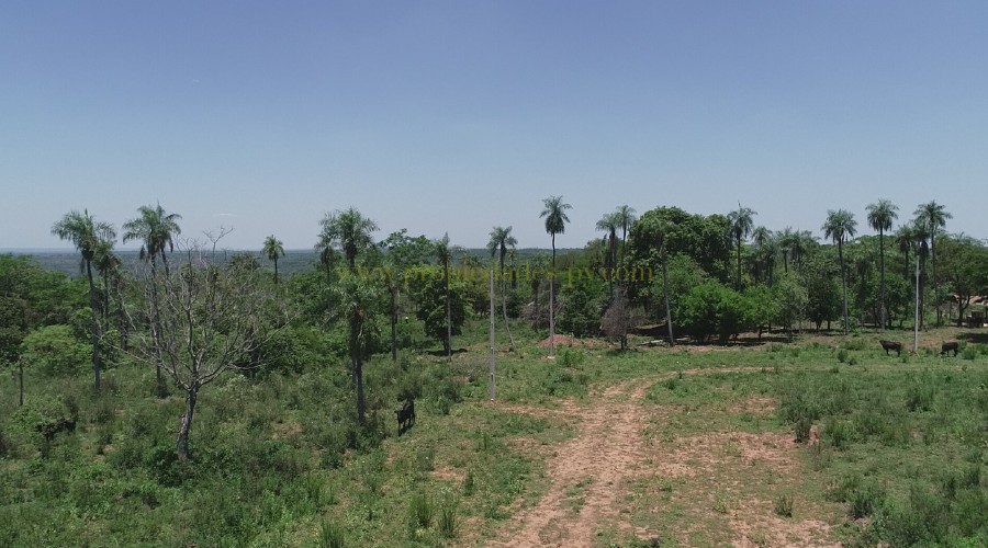 foto_Hermosos Lotes en Nueva Colombia