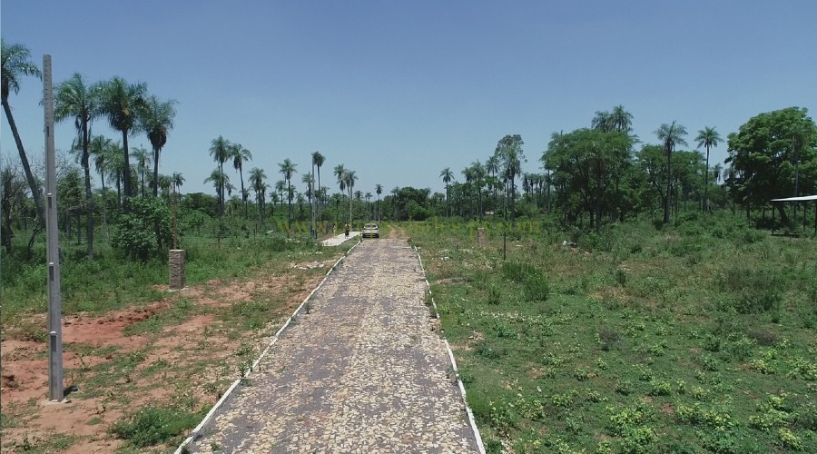 foto_Hermosos Lotes en Nueva Colombia