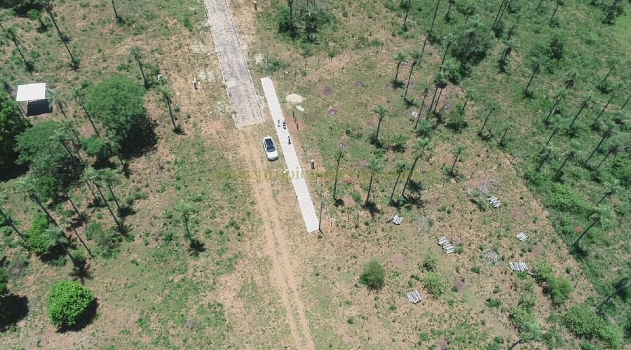 foto_Hermosos Lotes en Nueva Colombia