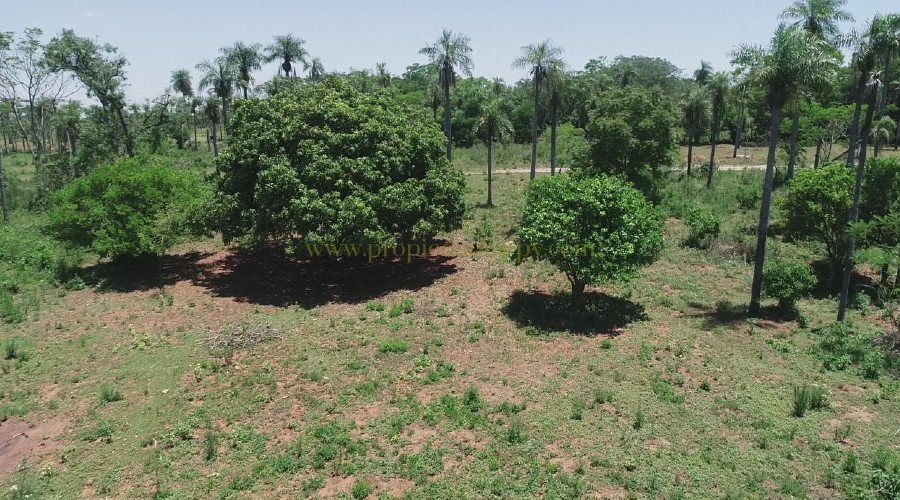 foto_Hermosos Lotes en Nueva Colombia
