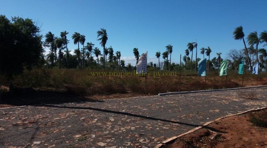 foto_Hermosos Lotes en Nueva Colombia