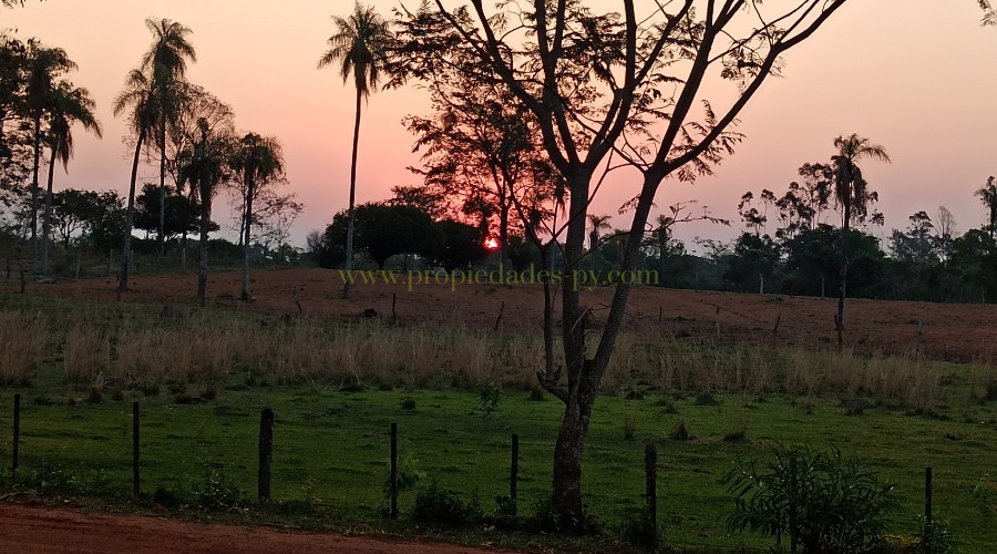 foto_Hermosos Lotes en Nueva Colombia